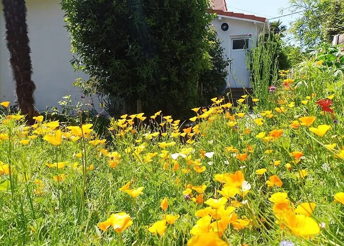 度假居 Maison De Avec Piscine