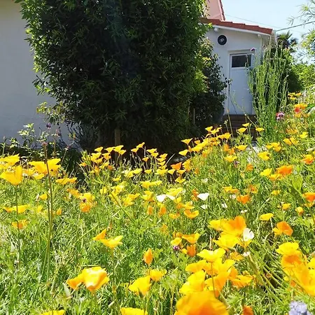Tatil Evi Maison De Avec Piscine